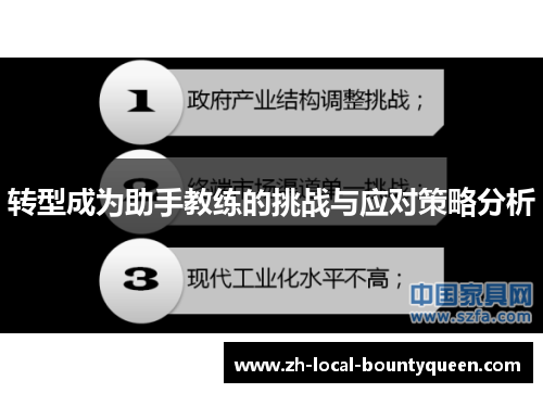 转型成为助手教练的挑战与应对策略分析
